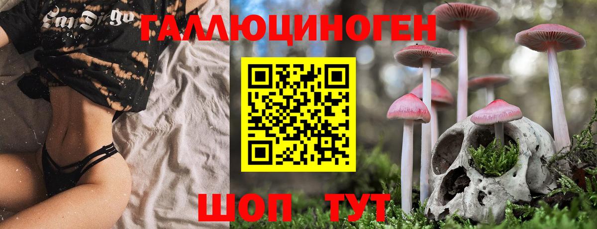 Псилоцибиновые грибы GOLDEN TEACHER  Галлюциногенные грибы Cubensis  Красноярск  Вход с VPN 
