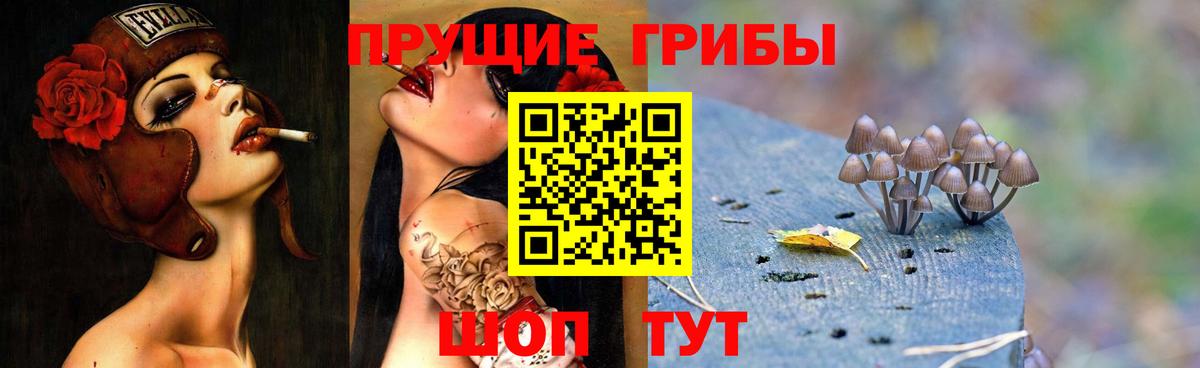 Галлюциногенные грибы Cubensis Красноярск